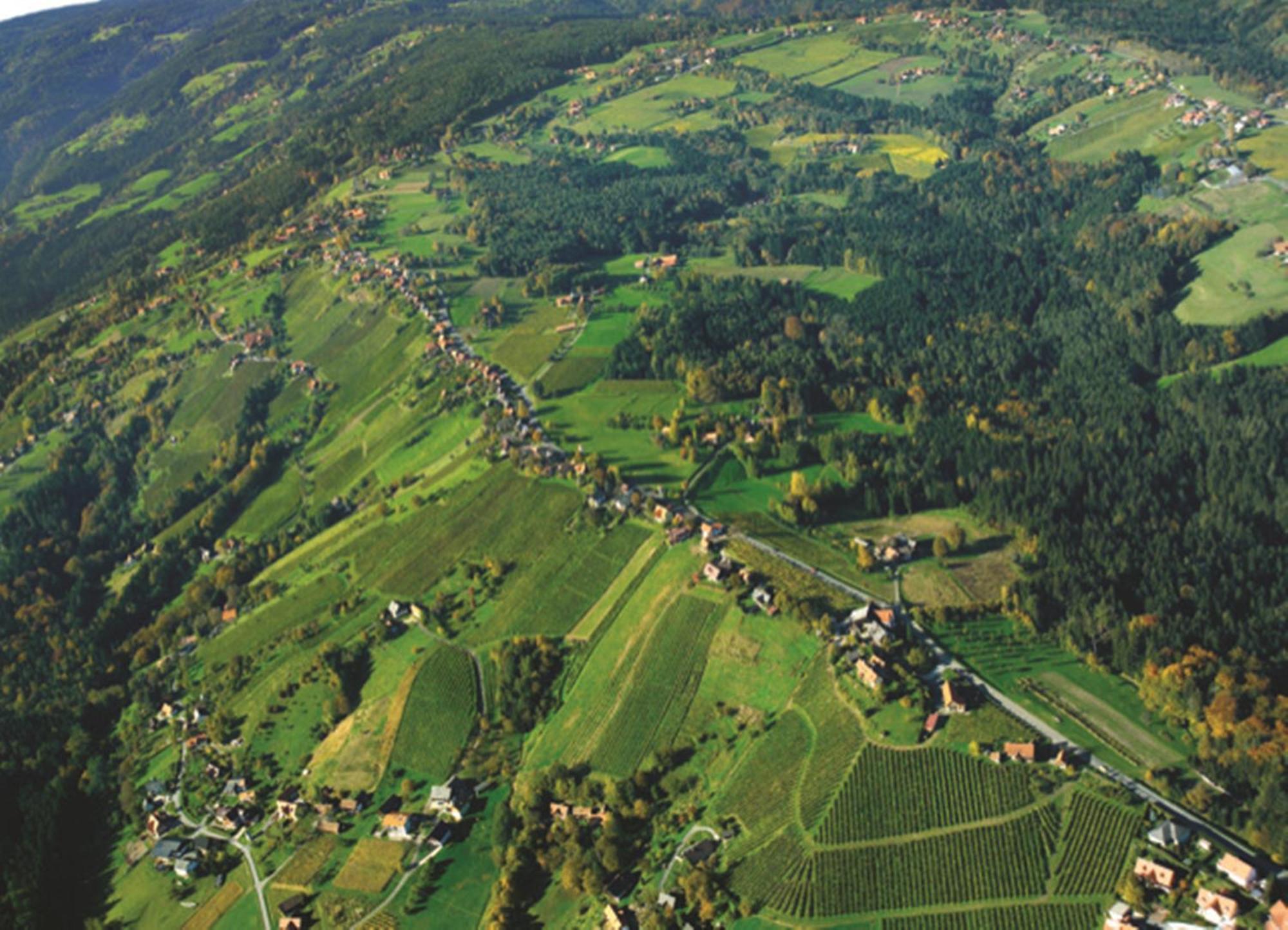 Hotel Stainzerhof Exteriör bild